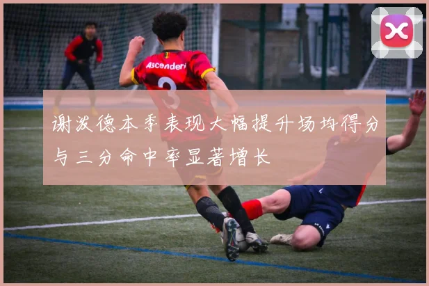 谢泼德本季表现大幅提升场均得分与三分命中率显著增长