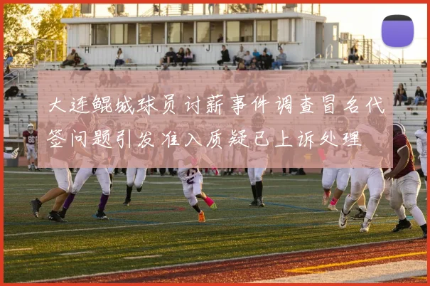 大连鲲城球员讨薪事件调查冒名代签问题引发准入质疑已上诉处理