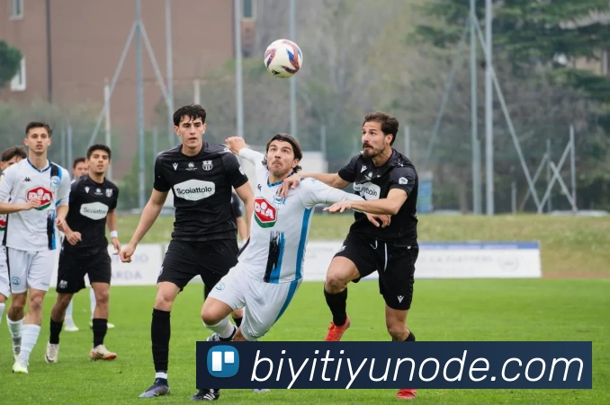 必一体育APP 封面图